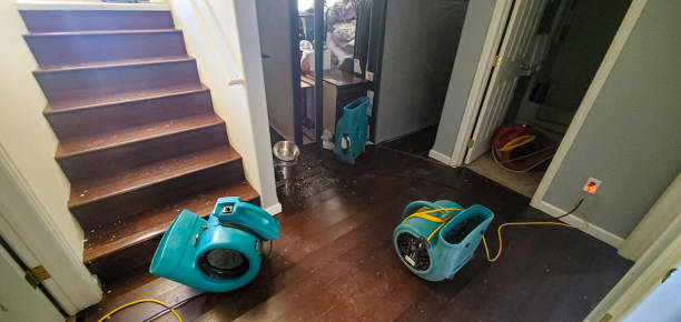 Best Water damage contractors near me  in Rockledge, PA