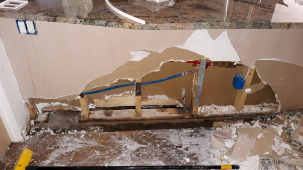 Best Water damage cleanup near me  in Rockledge, PA