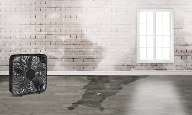 Best Emergency water damage restoration  in Rockledge, PA