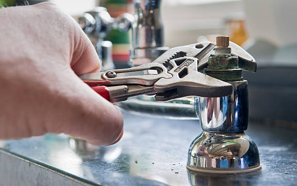 Best Professional water damage repair  in Rockledge, PA