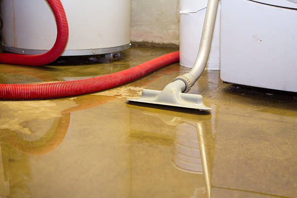 Best Water damage restoration cost  in Rockledge, PA