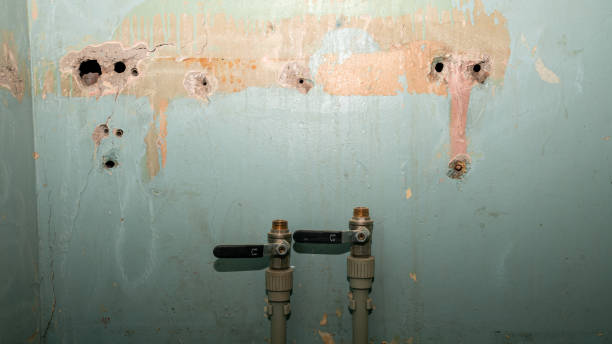 Best Sewage cleanup and water damage restoration  in Rockledge, PA