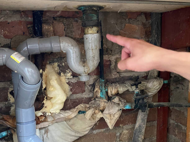Best Sewage cleanup and water damage restoration  in Rockledge, PA
