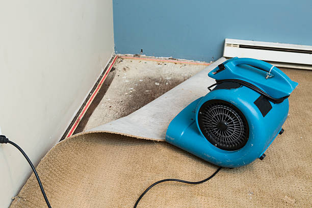 Best Water damage restoration mold remediation  in Rockledge, PA